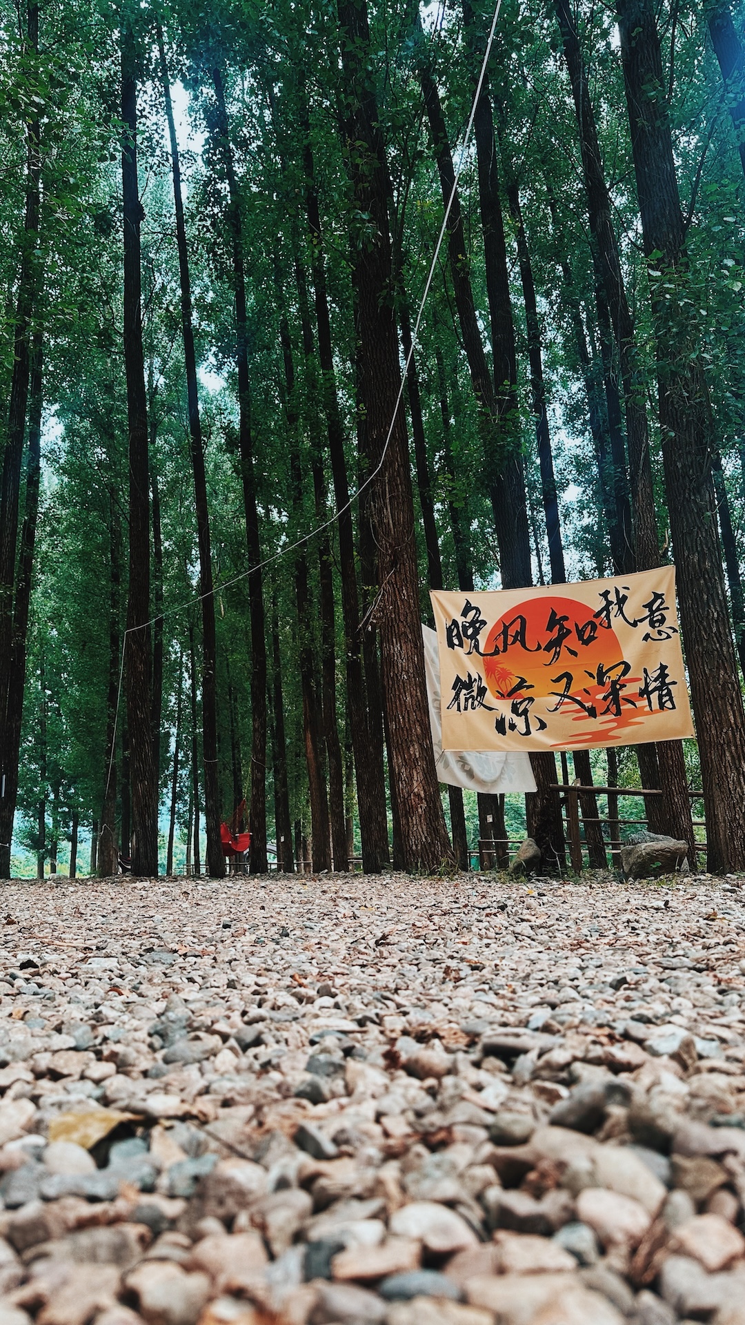 树林中的户外咖啡活动现场